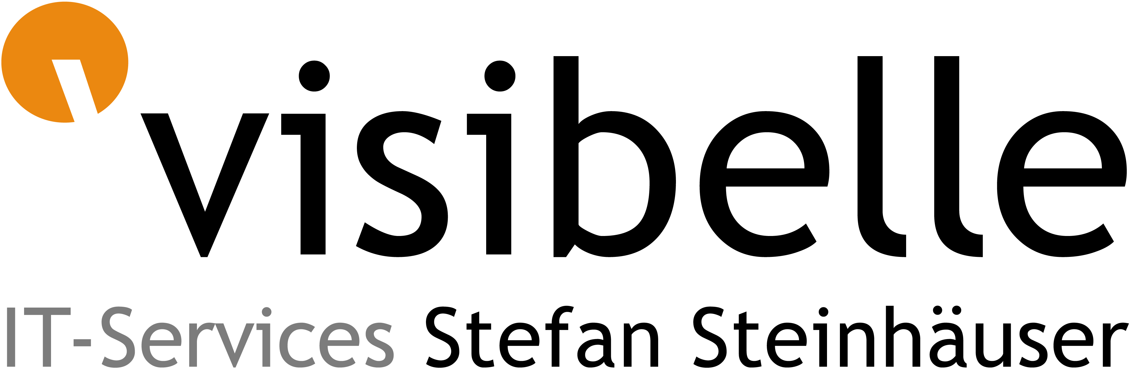 Visibelle Logo